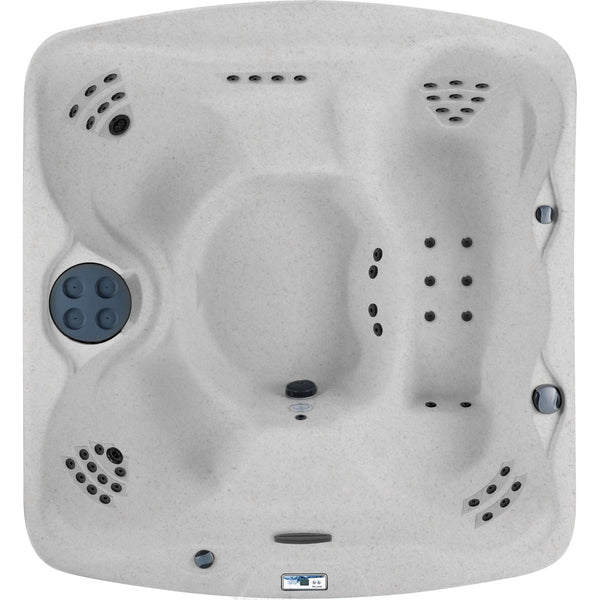 LS550 plus Hot Tub - 5 Person, 65- Jet, 220-Volt Spa Sea Salt/ Espresso